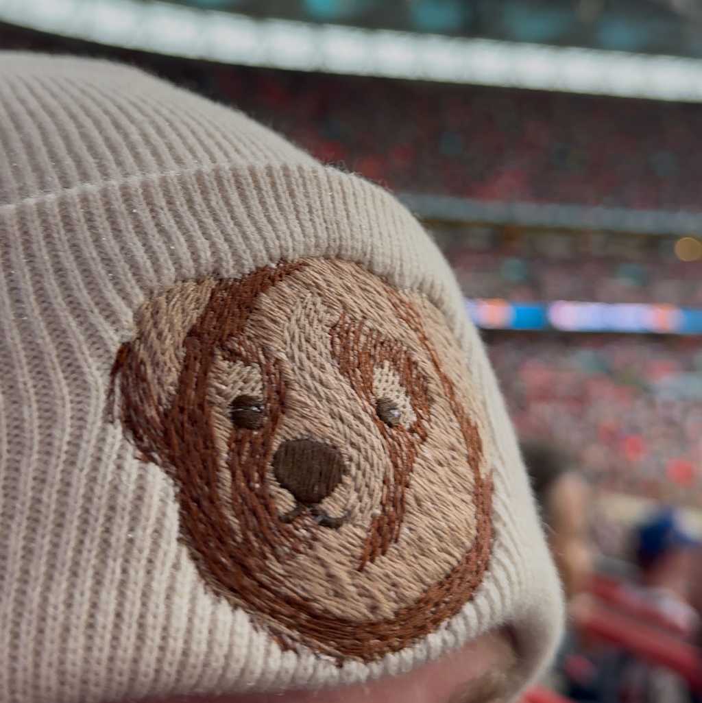 Beige knit cap with embroidered ted head 
design in a stadium setting